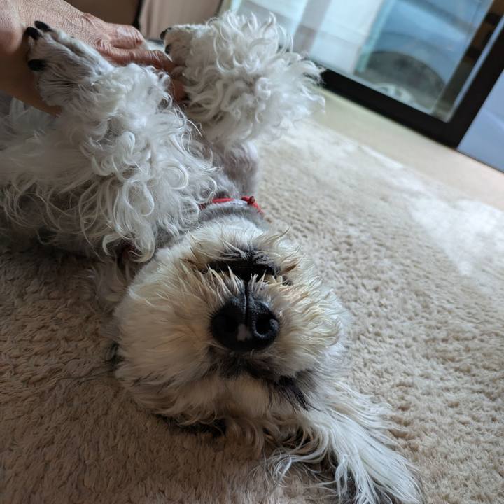 Bf86b80d a71d 4300 812d d19d7604e22c 1749891393690