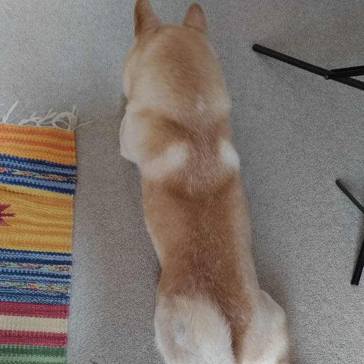 Bf86e3af d293 4854 8d0e 7756e1fdf5e4 1575440141740