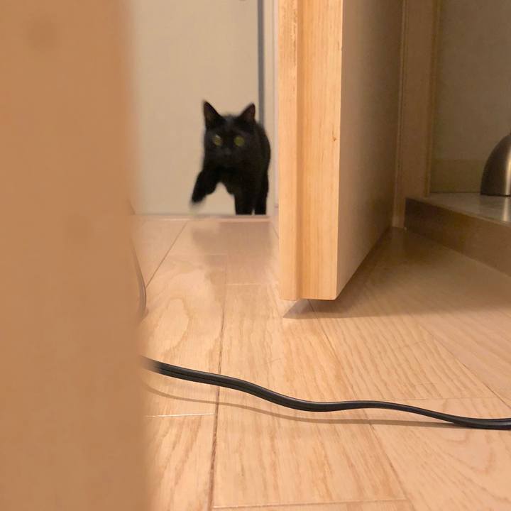 Bf86ef83 7abb 4f48 8c5b f7ee455bf421 1521384961879