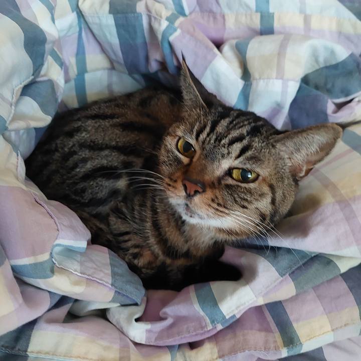 Bf870648 7b98 4137 be50 681fbcf590b9 1696645848172