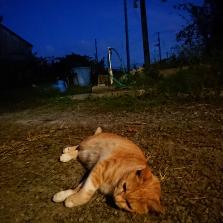 Bf870b07 12b4 4a07 961d a1d69c54cc6c 1569835540502