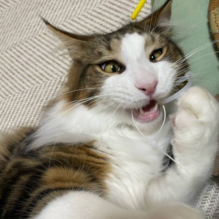 Bf872b7d 68ee 48b9 b043 465221743c6c 1647432671796