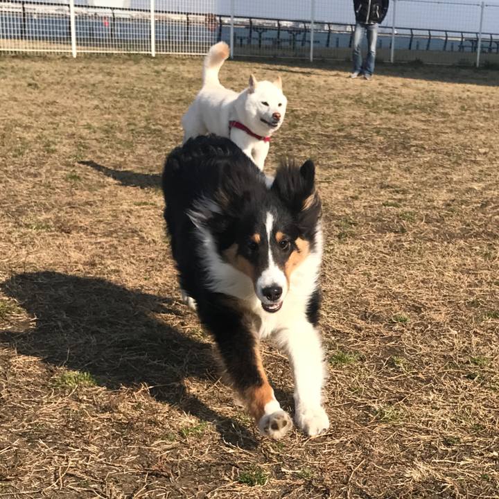 Bf875850 4837 4b63 a4d9 2545ae335327 1516525144943