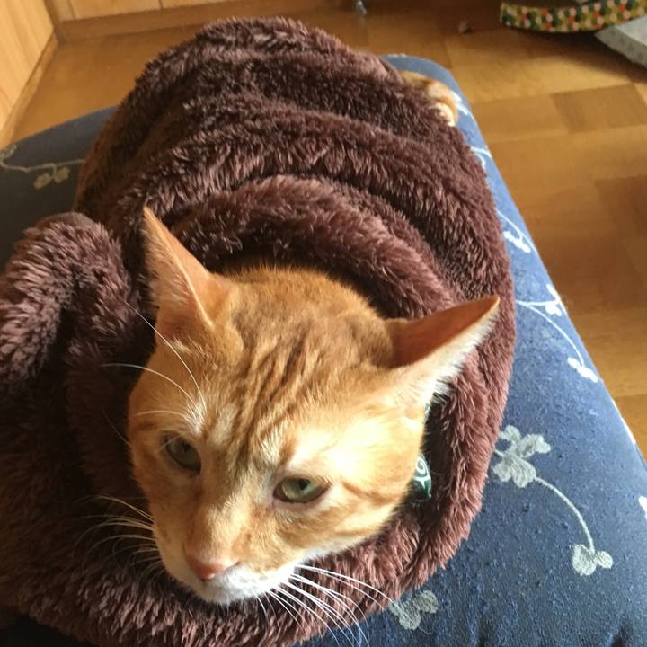 Bf875a51 94a8 4725 8736 7bab695a5fc2 1536377020567