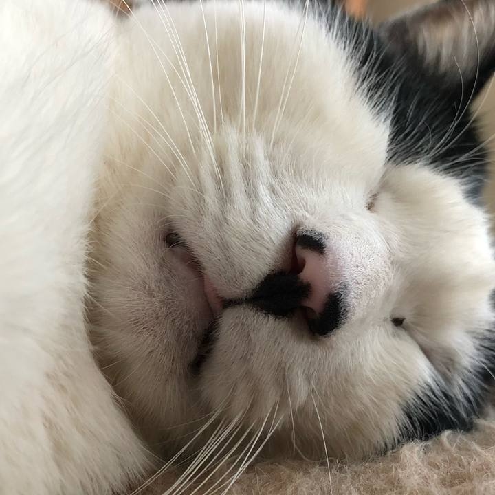 Bf877322 adf5 4cbc 92e0 160eb6a79747 1548801416910