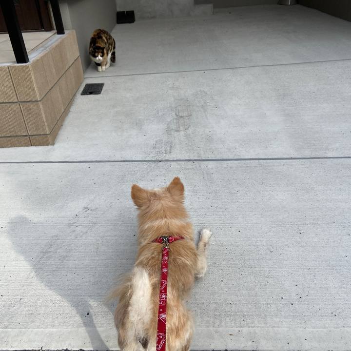 Bf8778a6 873a 40ad 8826 cc31f195c51c 1647826105232