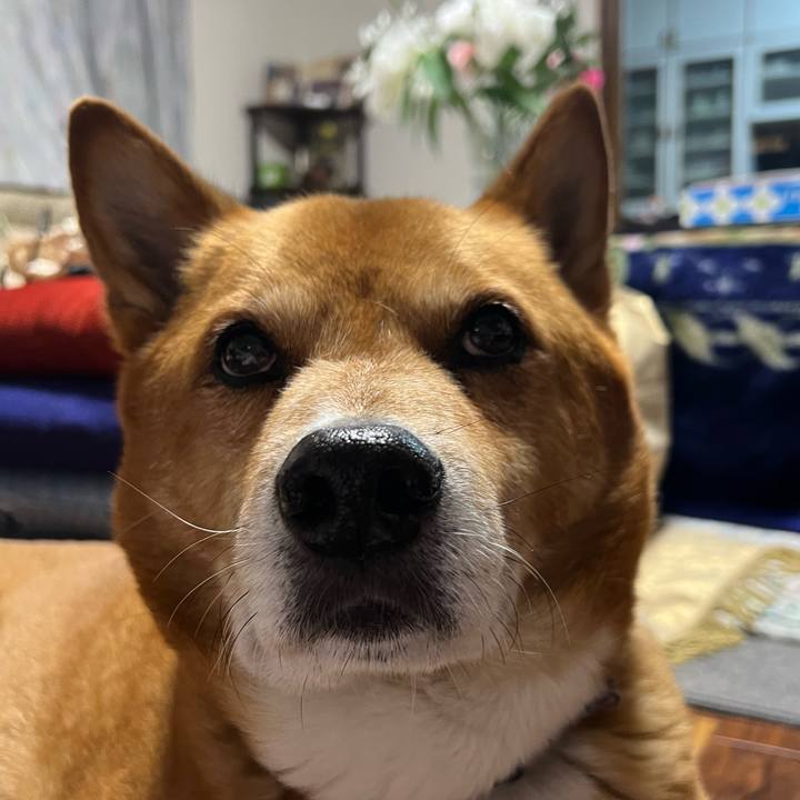 Bf878f4f 902a 4631 b4e5 b80a2a7df2cd 1719826406800