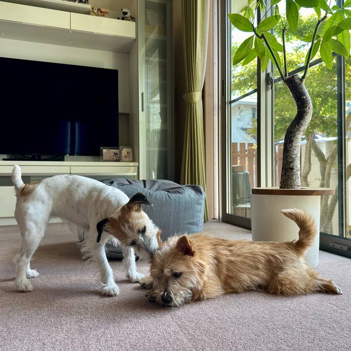 Bf87a85e 8dc4 4c68 8816 d052b6f354e0 1713489566777