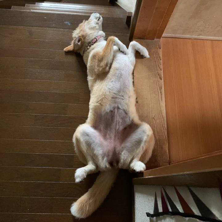 Bf87d462 28ab 4a94 90ec b472c5efefd3 1592432347512