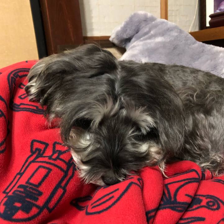 Bf87de05 2351 4bc2 b518 03353fcbdeaf 1543150821189