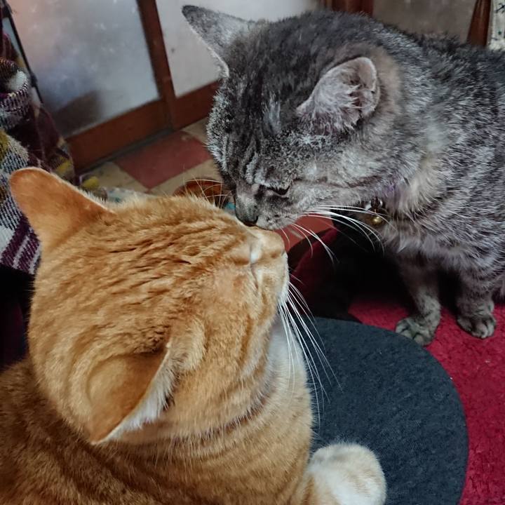 Bf87f965 ee25 4037 a7ce 9fe0ac57ca49 1581140416069