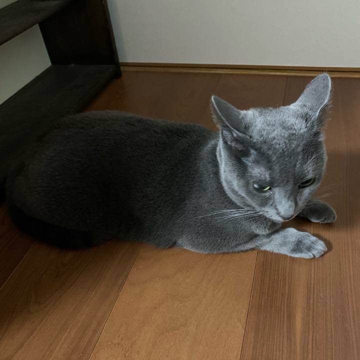 Bf882ab1 86dd 4cf7 8197 7f132956241d 1598088307045