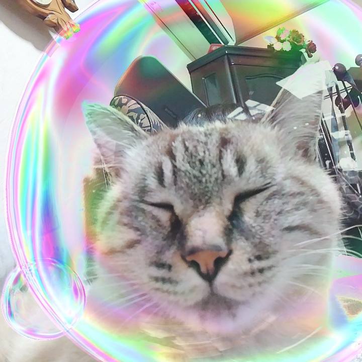 Bf882cb0 3890 4ea7 88f5 c7bf987c340b 1573211914788