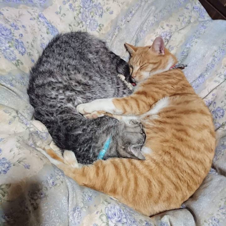 Bf884b0f b709 48f8 a61e 21105945ebe1 1607600466206