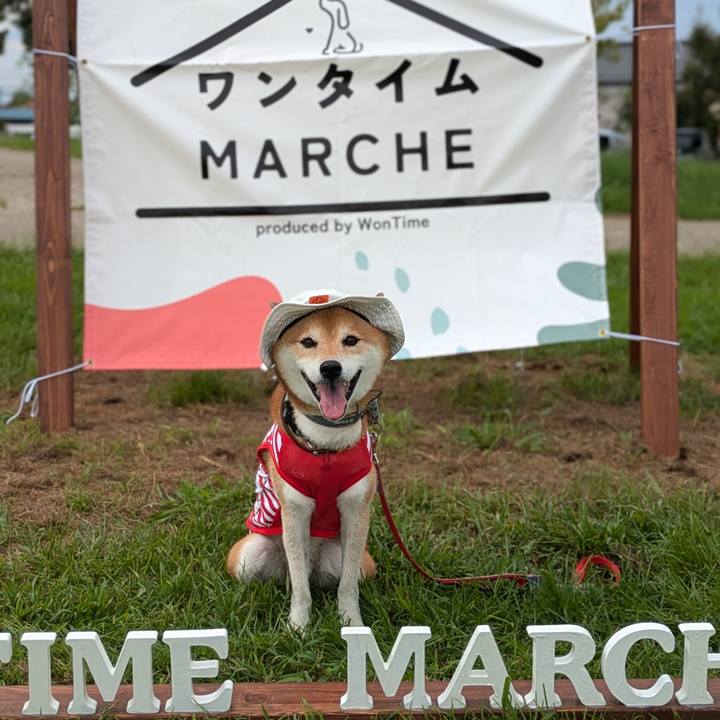 Bf8870d2 1b0e 436c 934a e7224d435186 1726994592748