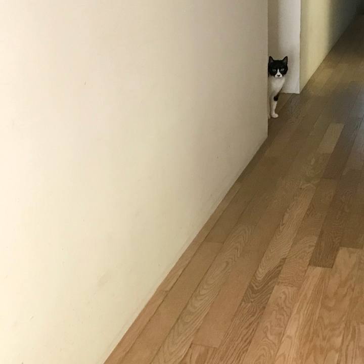 Bf8885c2 f43a 4a56 b5d5 42e08d8113d9 1534922403770