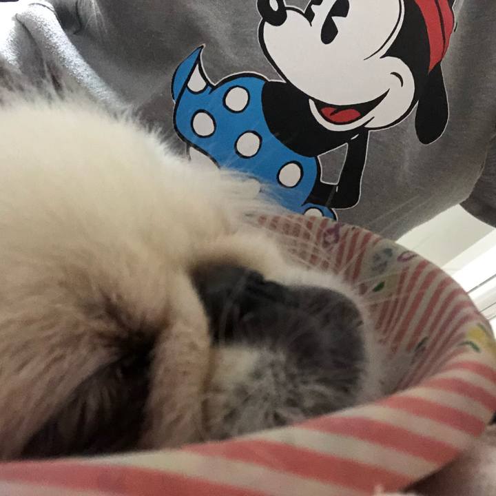 Bf8886cd ecd7 43f3 b265 ce1c9192dbe2 1537364822226