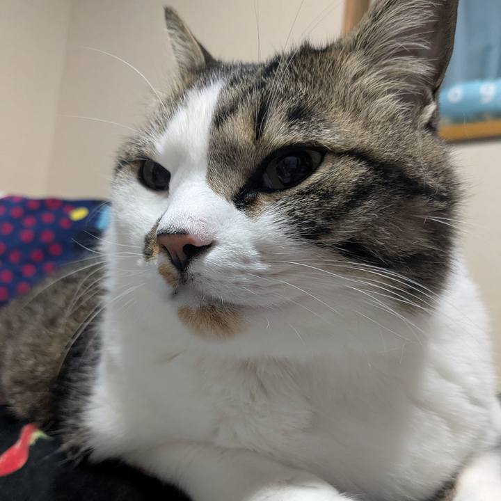 Bf8890bd 0fc4 4ab7 b0fd ee79d7f7cece 1746501572045