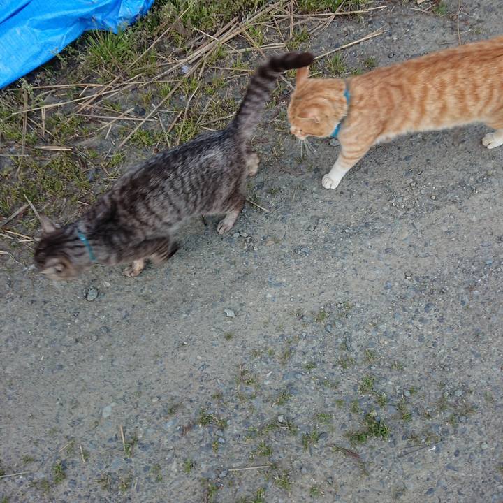 Bf889859 2f29 4db3 8986 efb0527ebb63 1556874477182