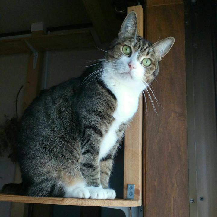 Bf88aced 6d1f 4b97 b539 eda794d3153d 1576116178469