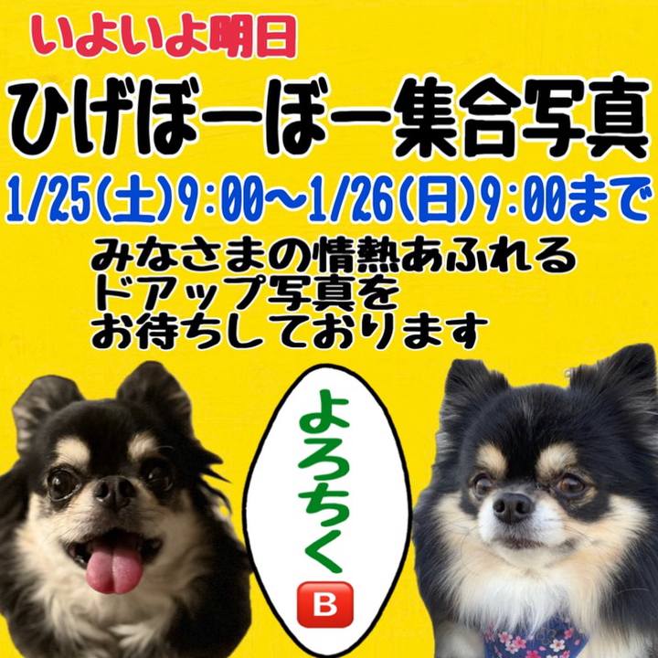 Bf89091a 6877 4564 b384 4dd76c9c617e 1737664101606