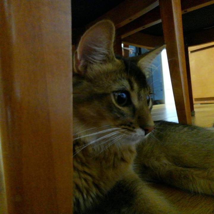 Bf8934c0 4494 4662 9723 bdc8721818aa 1573213721918