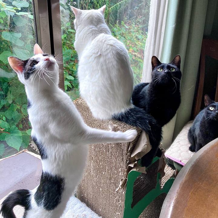 Bf89a560 165c 46b2 a944 987e1f29aa1c 1665885667003