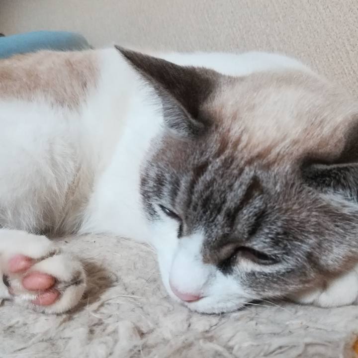 Bf89b063 e7bf 4d32 bac2 e21443f1765d 1542030083135