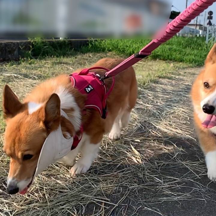 Bf89e565 fceb 4e72 81ce 8bc49e63cb20 1660000186468