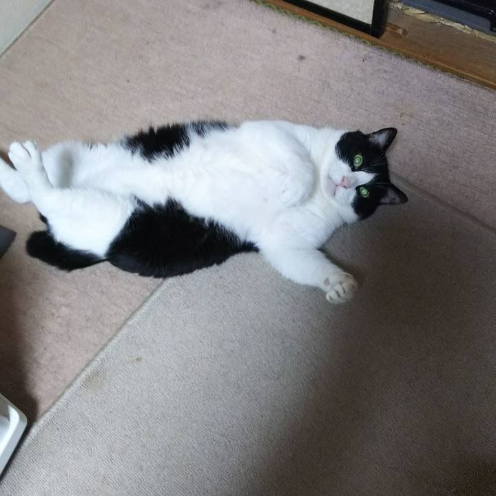 Bf89e5c6 9756 4510 8f2d cdf21f406469 1535492476023