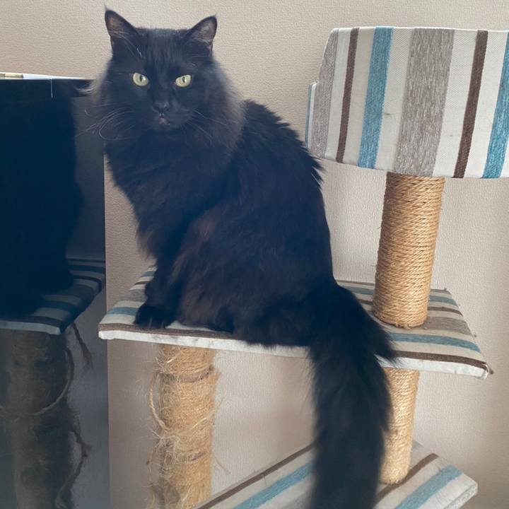 Bf8a0474 a29f 403a 81c4 d95ac8a285a5 1582070555459