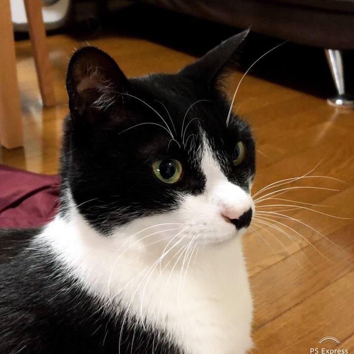 Bf8a30ea cfc7 4f29 a12d 8379a94fe0ed 1547162186039