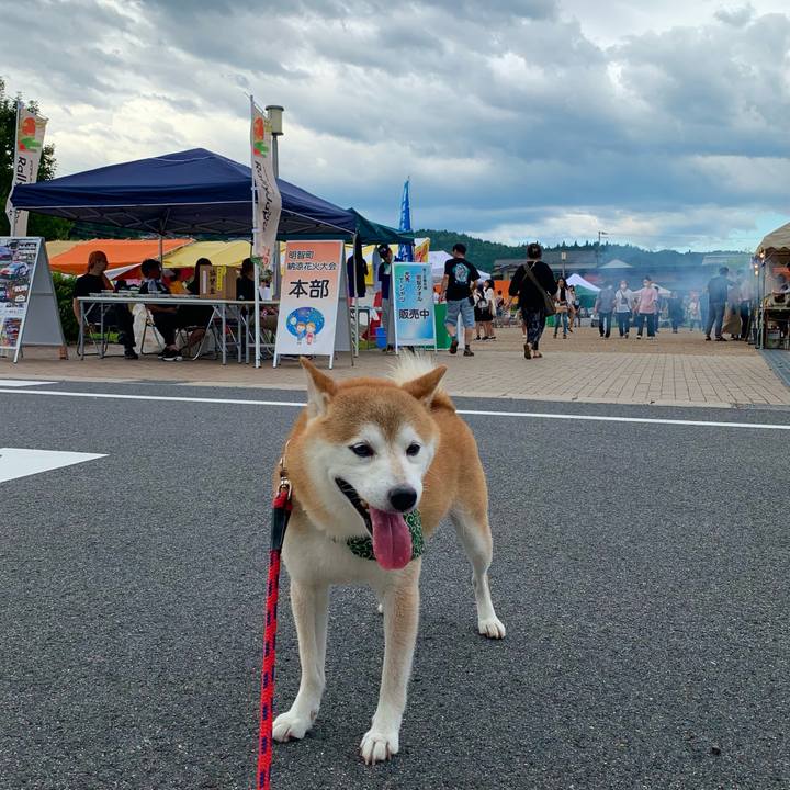 Bf8a3795 b429 400c b8a0 1e8151833cde 1692000664844