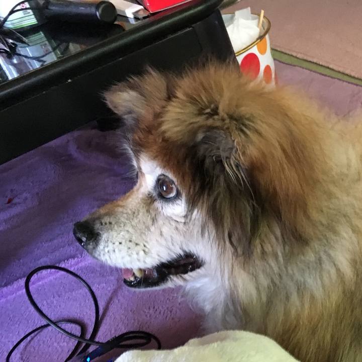 Bf8a3acb 3806 4316 87f3 1f3377c58a73 1573528818696