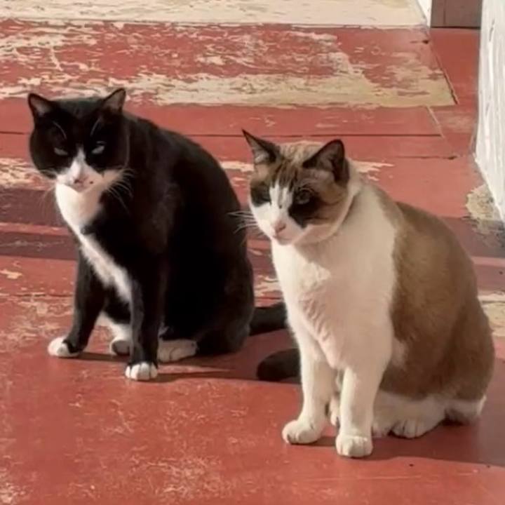 Bf8a3f9d a4fe 4508 97cd 1beaae2dc2ba 1769352467864