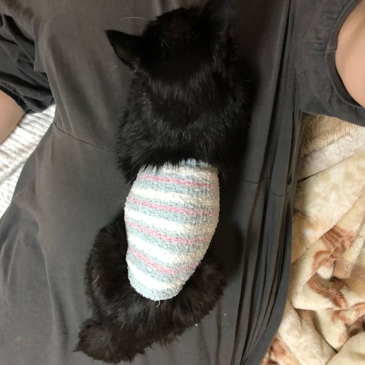 Bf8a412d 8c52 4a5f 8985 715a744736f2 1644579326107