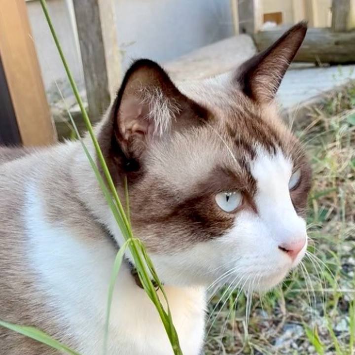 Bf8a7376 b3db 41c7 b062 db14acea13e6 1759994696802