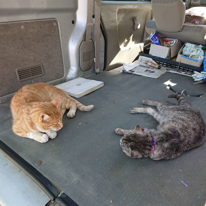 Bf8aca7a 5bf8 492c a0cb 9c29e99f87f1 1592640684689