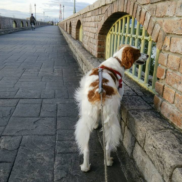 Bf8acbb5 c652 43ed a85e ea19a36acd05 1538728760752