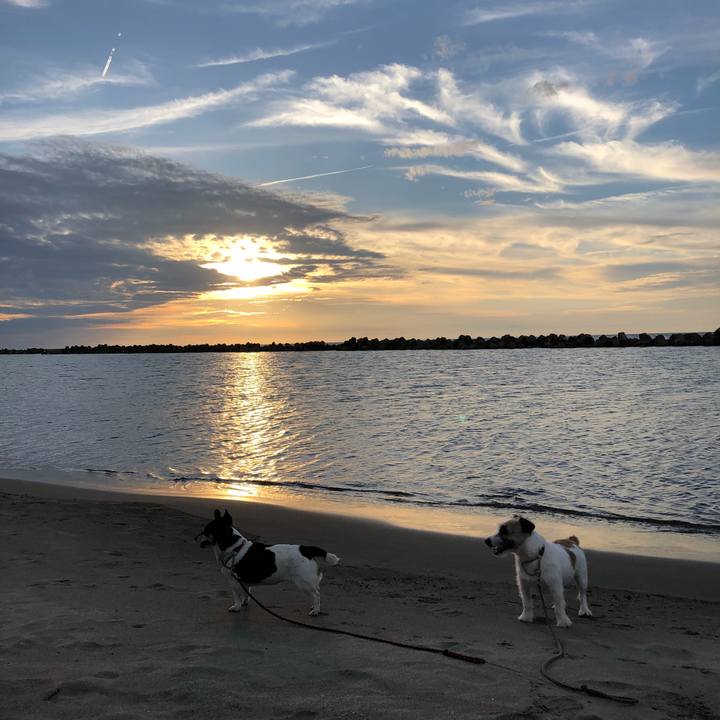 Bf8b35b9 7f56 4021 84a3 8195de00f21d 1537006288448