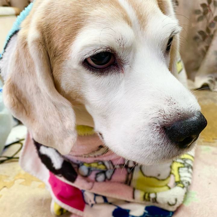 Bf8b45c7 b0ae 4857 8de4 ce7e5b412acb 1610251219047