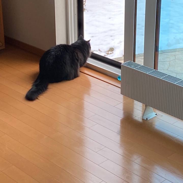 Bf8b46c6 d0f7 4e5d a4e4 03d0c915a685 1577762038824