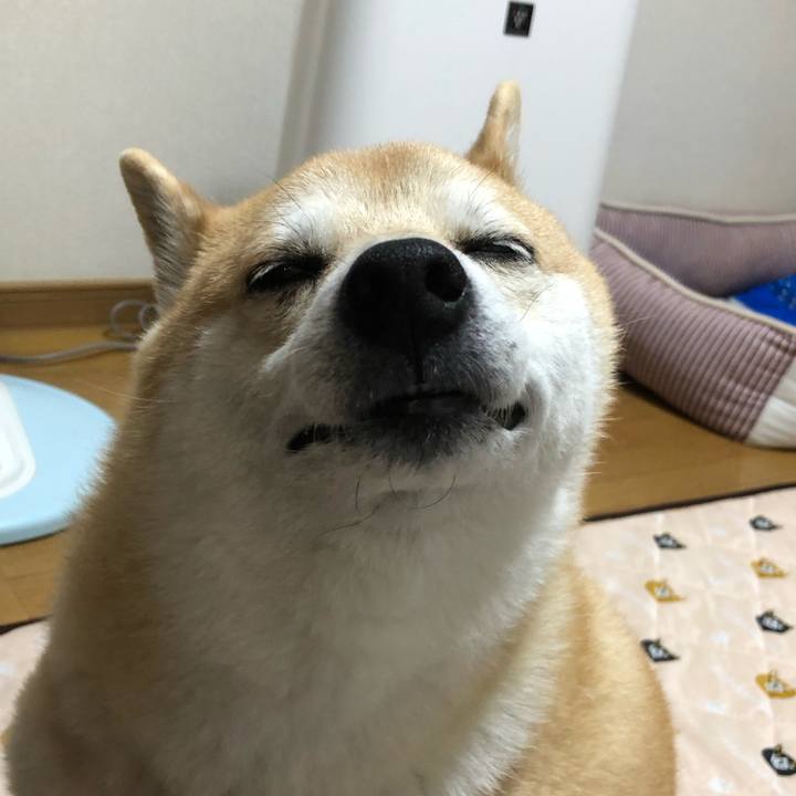 Bf8b77d6 23e0 4eff a6e0 1441cc08fa34 1558949155573