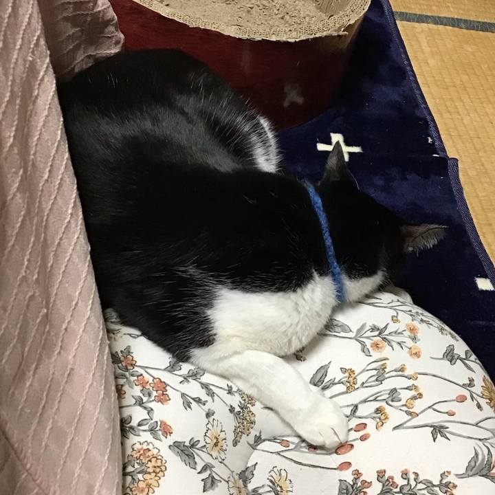 Bf8b89f5 42cb 4d71 8da7 49a56ac936c3 1703759912721