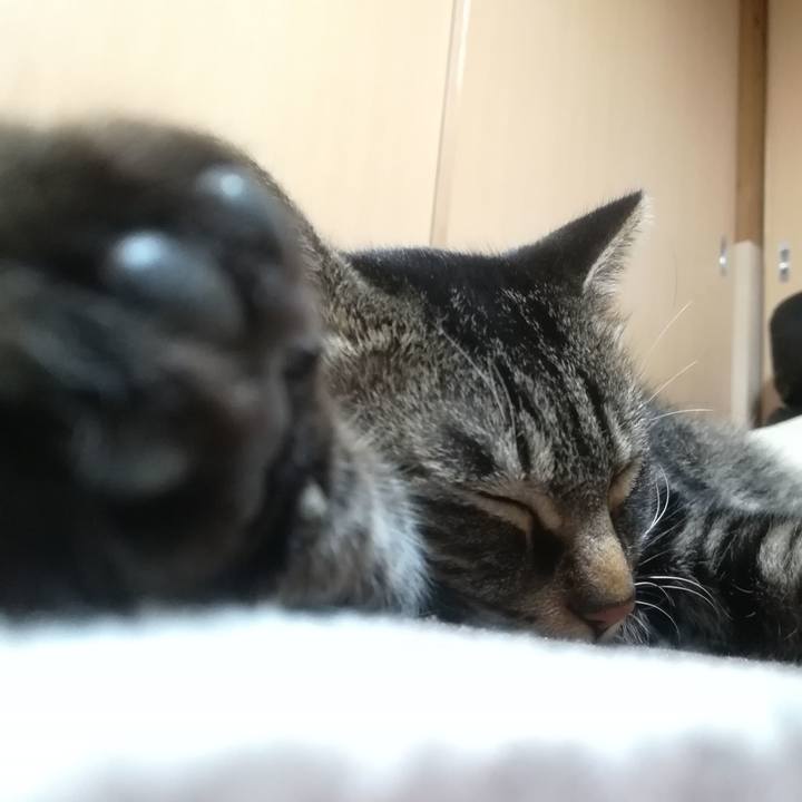 Bf8b8adf c8b0 49ef bb57 b2a43ec76749 1513951325899