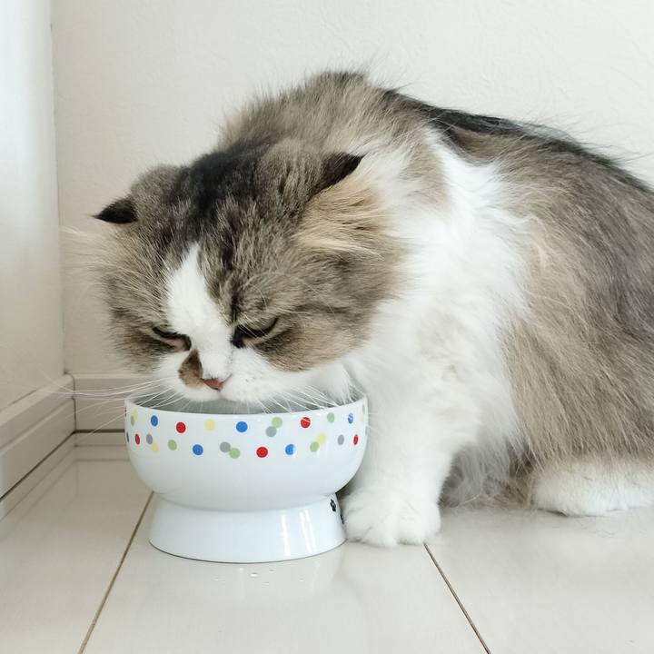 Bf8bc570 4679 4bf9 b553 16a0ccfe71f4 1773788728192