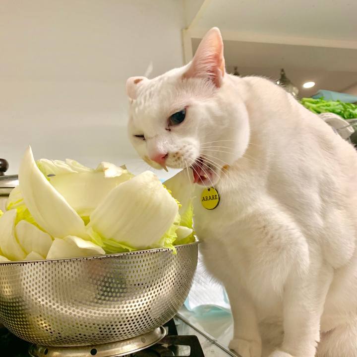 Bf8be48f 8d52 476c 82b5 4e91940ac92b 1582723293067