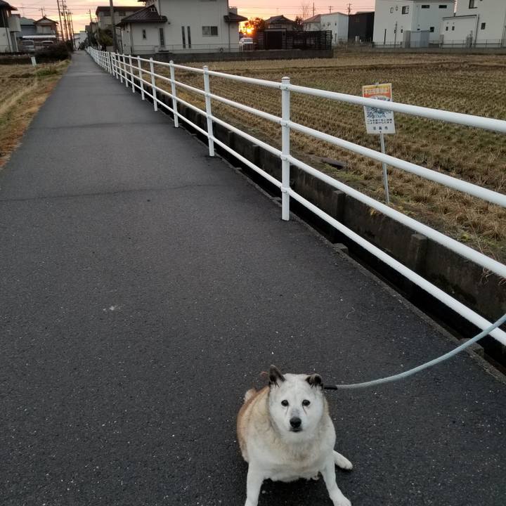 Bf8c96dc 5429 434e 9ad1 8c22f0ca886e 1706739368271