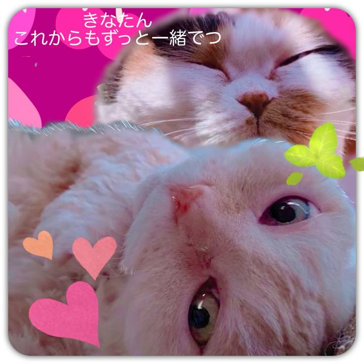 Bf8d1892 85bd 48e6 8dfb d9a96fca41df 1732632436656