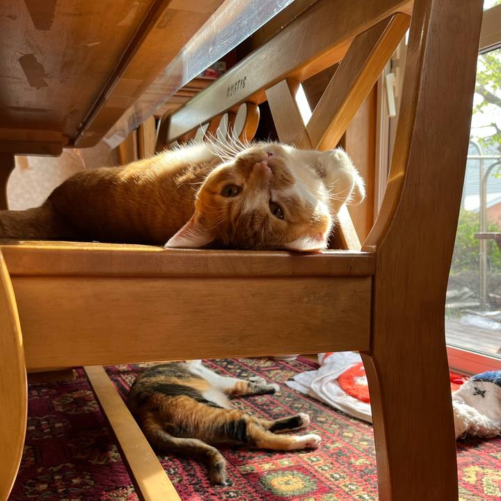 Bf8d1faf 3413 4f2e ac8d 1933ebccbf19 1684364415639